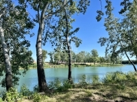 Dunaharaszti Telek