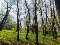 Érd Telek